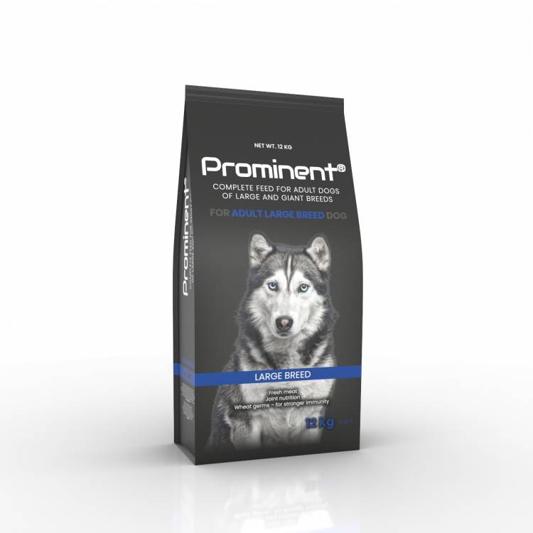 Prominent dog Adult Large breed 12 kg