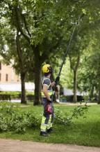 CRAMER OPTIMUS PST39