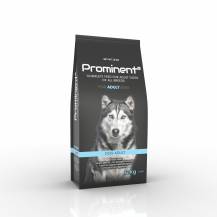 Prominent dog Adult 12 kg