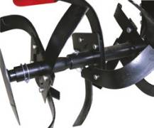 PUBERT QUATRO JUNIOR V3 60H