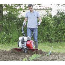 PUBERT QUATRO JUNIOR V3 60H