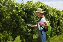 VERDEMAX AKU postř. FUTURA 16