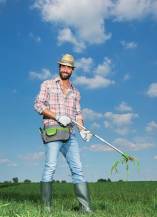 VERDEMAX vytrhávač plevele 3949